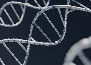 Secondary structures in DNA are associated with cancer – TodayHeadline