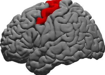 Study confirms site of brain region responsible for making sure people say words as intended – TodayHeadline