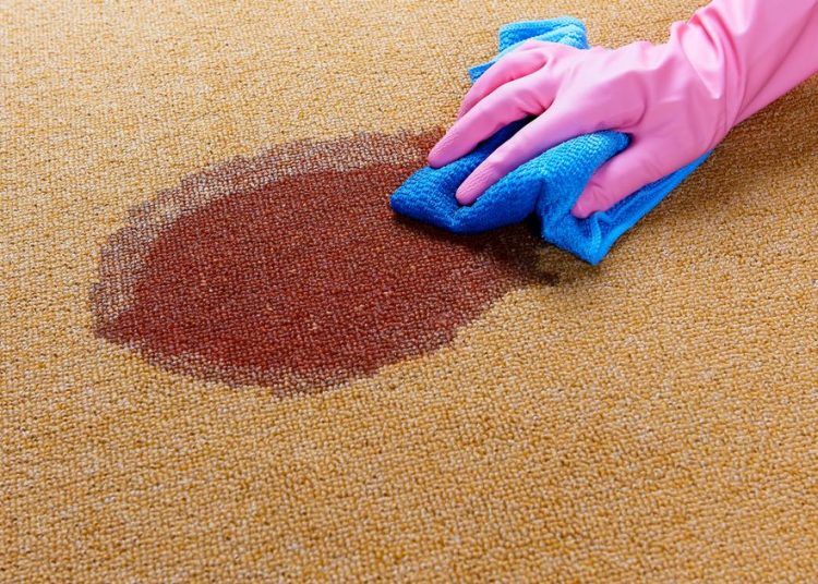 1 Gloved hand cleaning a wet spot on floorjpgs – TodayHeadline
