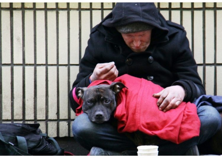 HomelessManAndDogFeatuerdImage – TodayHeadline