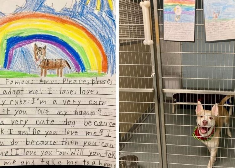 kids write stories for shelter dogs cover – TodayHeadline