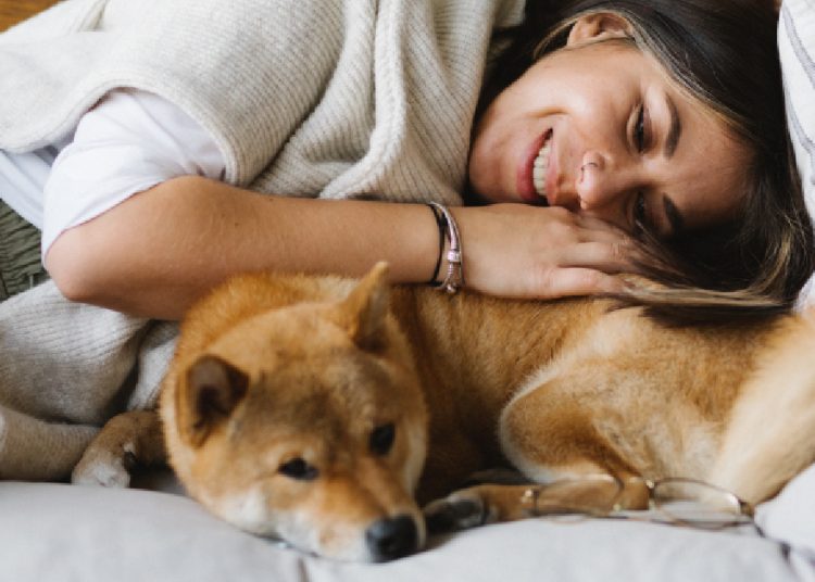 cordyceps mushroom benefits dogs – TodayHeadline