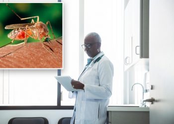 dr bug bite advice comp – TodayHeadline