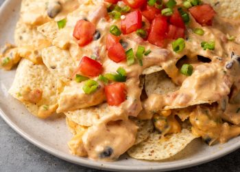 crockpot chicken nacho dip 17 – TodayHeadline