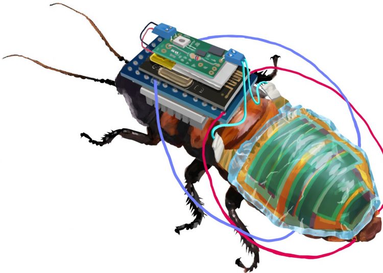 robo bug a rechargeabl – TodayHeadline