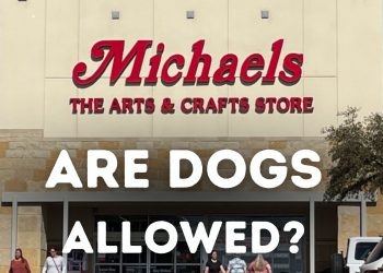 featured Are dogs allowed in michaels – TodayHeadline