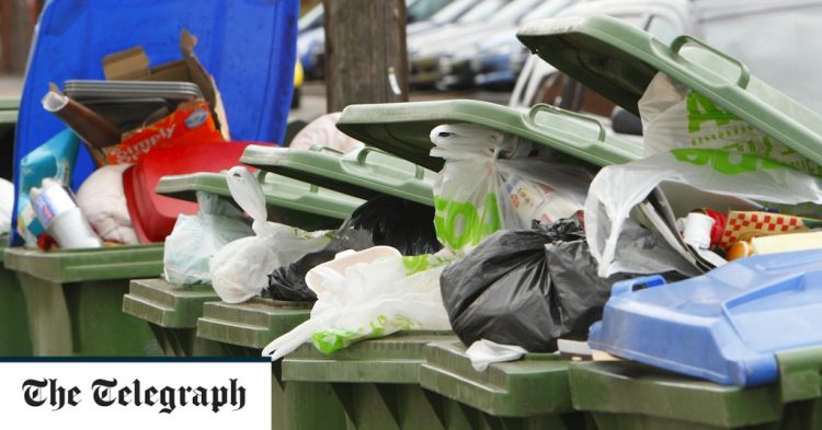 Green council’s new electric rubbish trucks leave bins overflowing