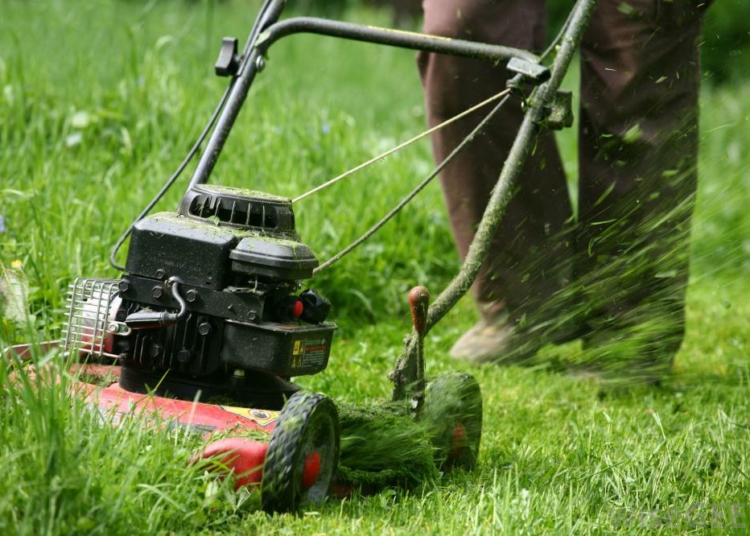 Democrats in Minnesota Now Pushing for Ban on Gas-Powered Lawnmowers and Chainsaws