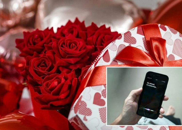 siri valentines day – TodayHeadline