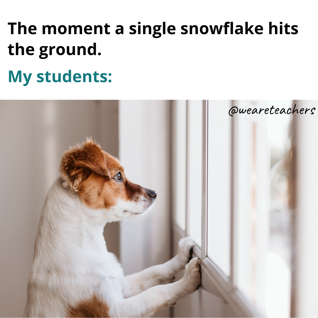 snowflake funny school memes