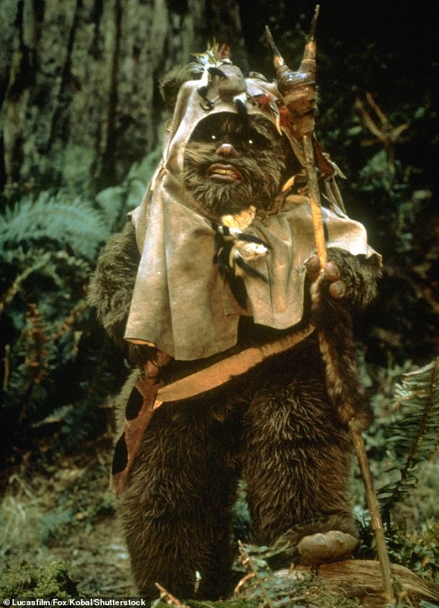 Mr Grant, who famously played an Ewok in Return of the Jedi (pictured) where he starred alongside Harrison Ford and Mark Hamill, said three weeks ago: 'I¿ve been thinking about this, it¿s my last day of drinking. I¿ve been drinking too much'