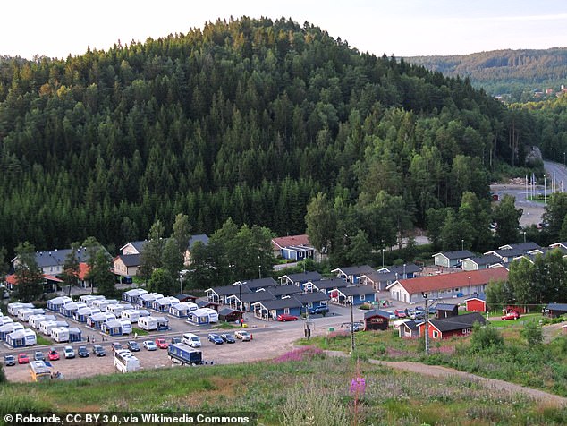 The superstore - Gekas Ullared - attracts such vast numbers of visitors that it has built two hotels, a motel, several log cabin rentals and a camping ground (above) nearby. Picture courtesy of Creative Commons