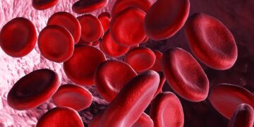 1800x1200 medical illustration blood bacteria red flow 01 other – TodayHeadline