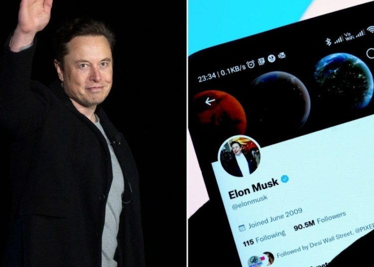Twitter employees called a Tesla executive the Elon whisperer because – TodayHeadline