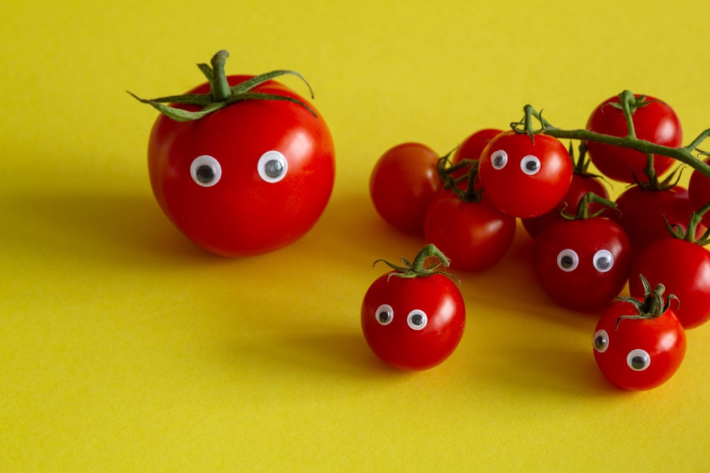 Tomatoes with googly eyes