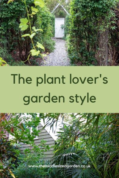 A plant lovers garden