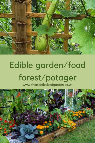 Edible garden style
