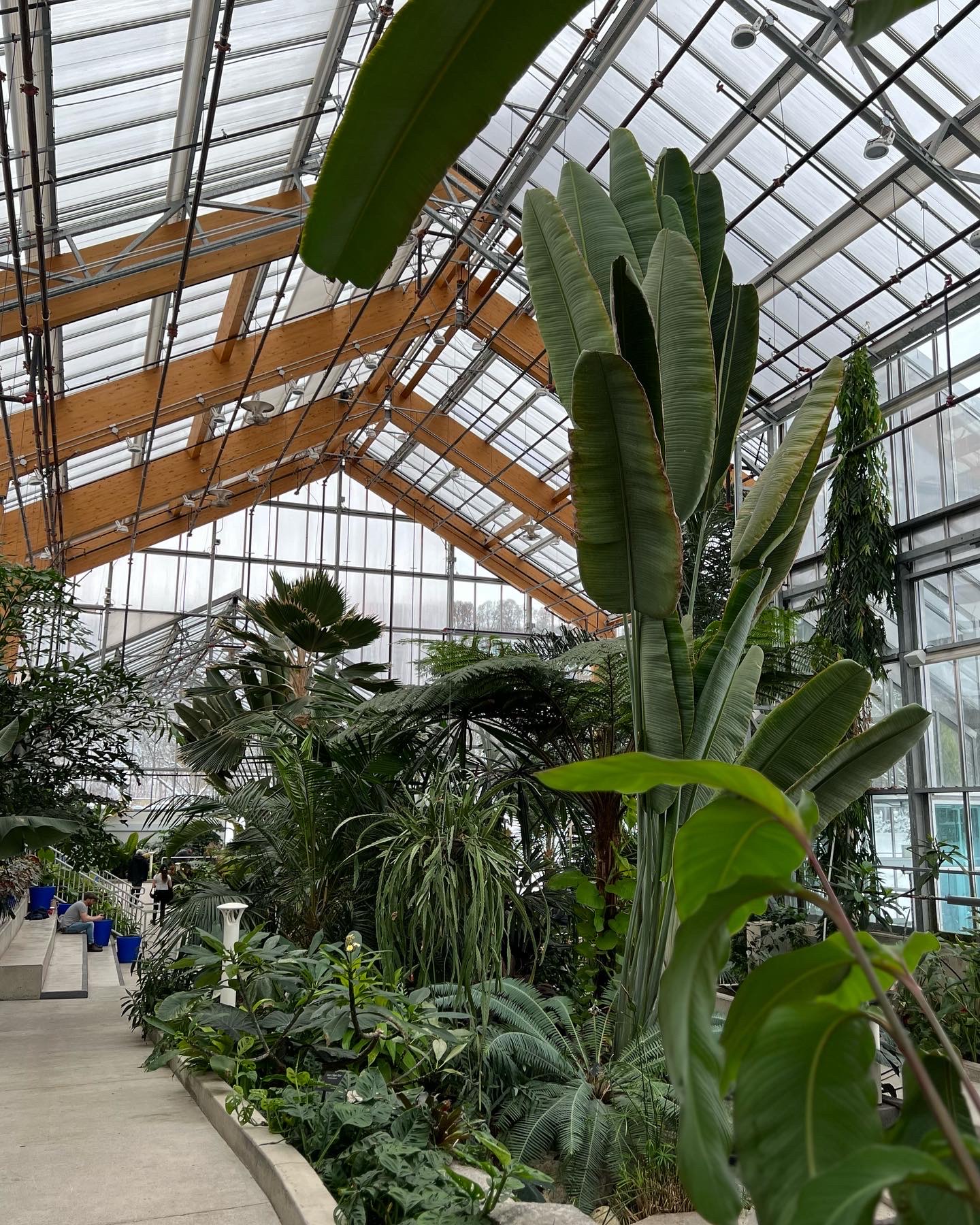 view down the length of Gage Park Tropical Greenhouse