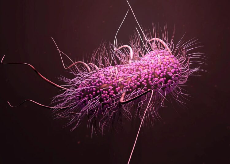 Bacterial Superbug Concept – TodayHeadline