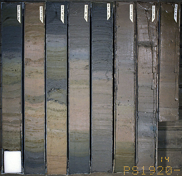 tubes of black and brown mud laid next to each other