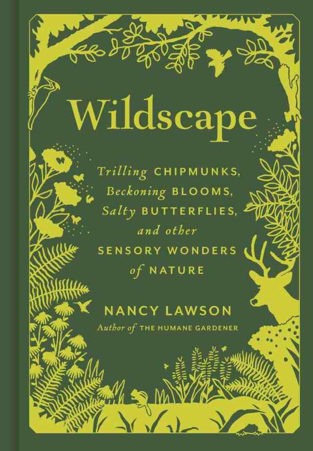 1683314106 221 the wildscape around us with nancy lawson the humane gardener – TodayHeadline