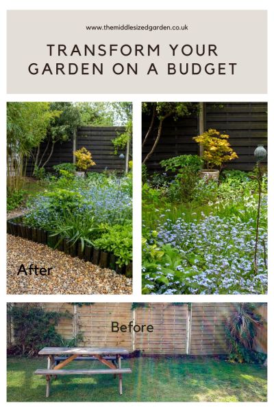 Transform your garden on a budget