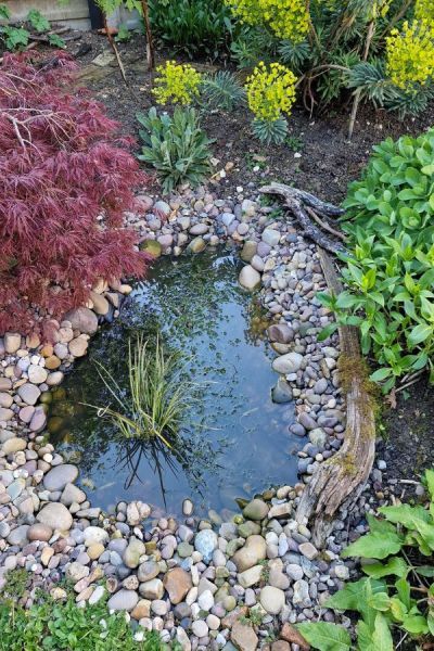 Use a piece of leftover pond lining to create a wildlife pond