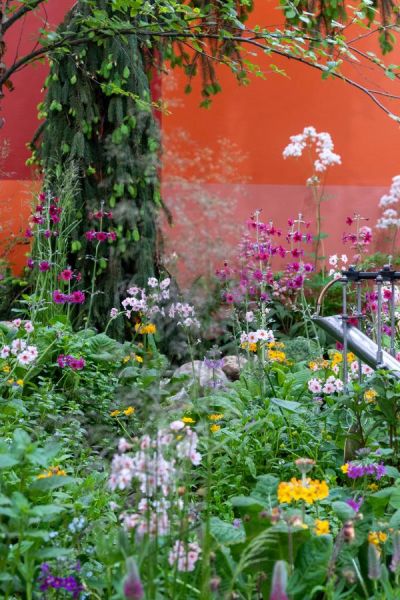 Brilliantly coloured walls in the Teapot Trust garden at RHS Chelsea 2023