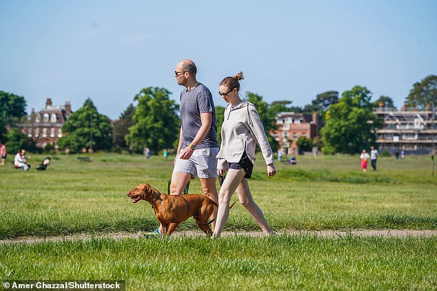 WIMBLEDON: Dog walkers in the bright morning sunshine on Wimbledon Common