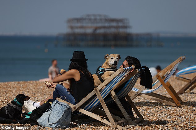 Even dogs got deck chairs as they enjoyed the sun with their owners today