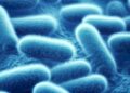 Bacteria Microbes Cold Concept – TodayHeadline