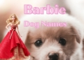 featured Barbie Dog Names – TodayHeadline