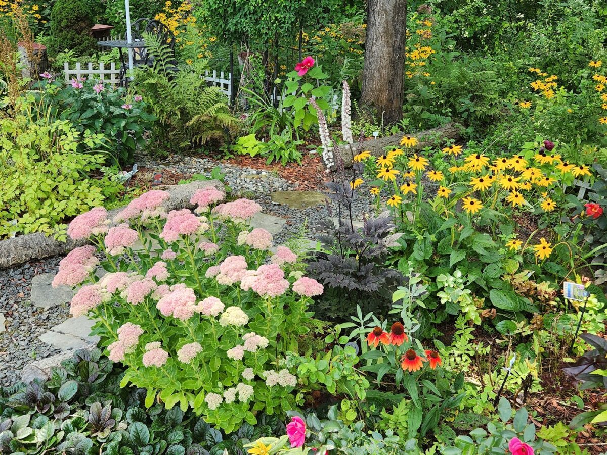 diverse garden with lots of flowers