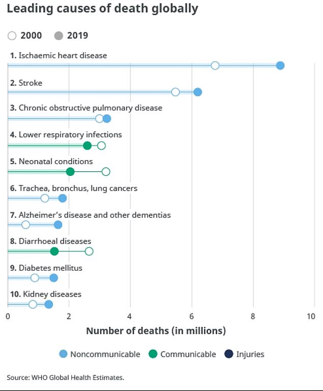 The above shows the leading causes of death globally in 2019, according to the World Health Organization