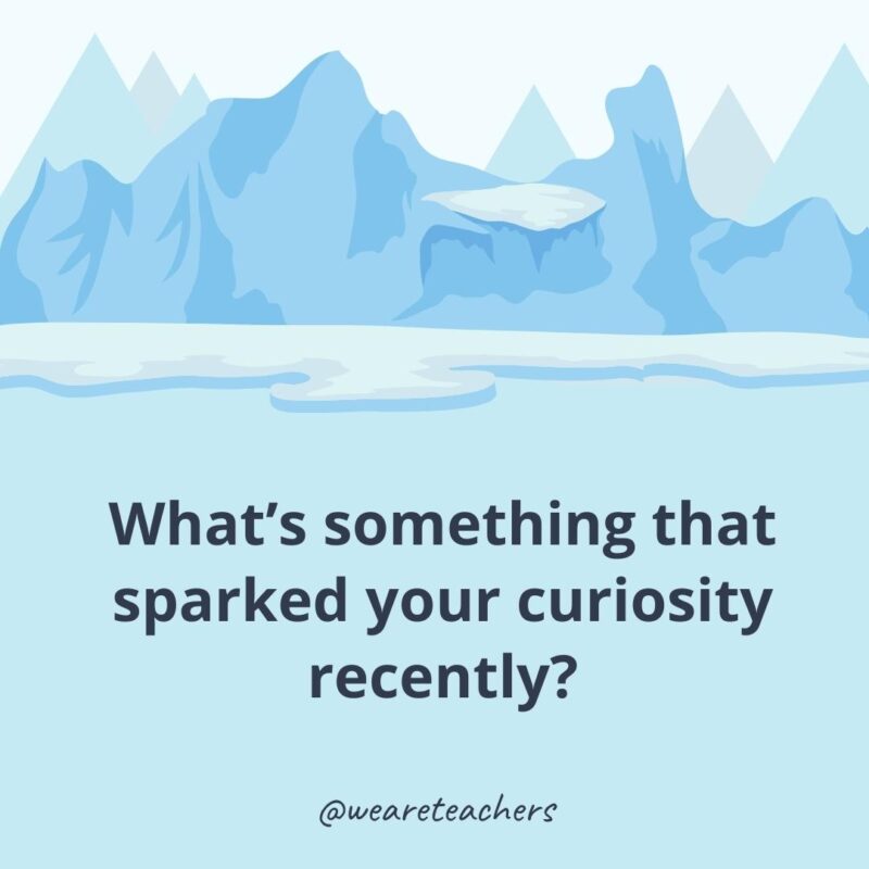 What’s something that sparked your curiosity recently?