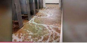 Lawmakers Blast the Biden Administration Over Disgusting Conditions in Some Military Barracks | The Gateway Pundit