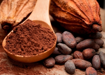Cacao Fruit Cocoa Beans Powder jpg