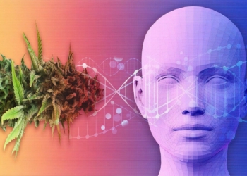 Cannabis Genetics jpg