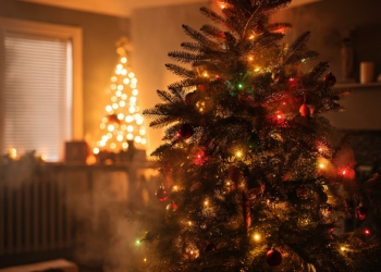 Christmas Tree Chemical Pollution jpg