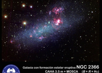 NGC 2366 jpg