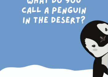 62 Penguin Jokes Youll Think Are the Coolest gif