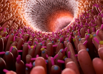 Human Gut Microbiome Illustration jpg