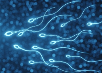 Sperm Cells Swimming Illustration jpg