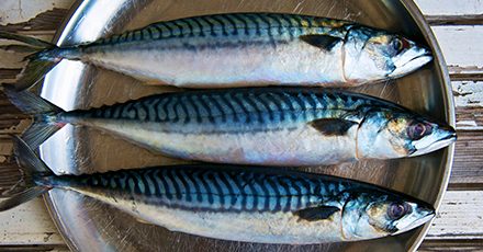 What are the benefits of oily fish jpg