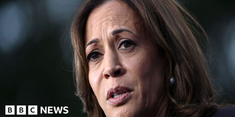 Harris tells supporters 'never give up' and urges peaceful transfer of power