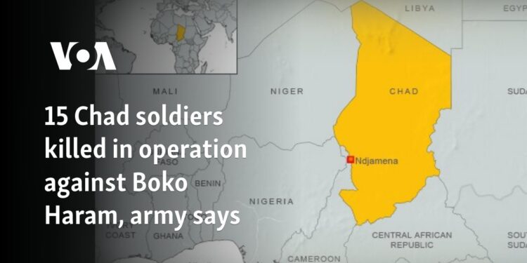 15 Chad soldiers killed in operation against Boko Haram, army says