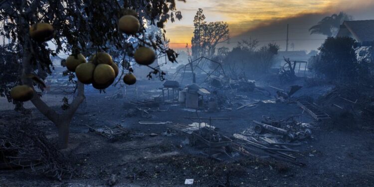 2 weeks after they inherited a home, the Mountain fire wiped away their fresh start