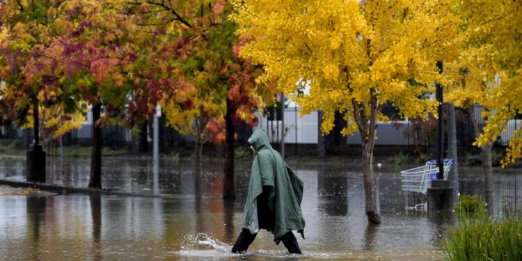 200,000 people around Seattle have no power as massive storm dumps heavy snow and record rain on Northwest