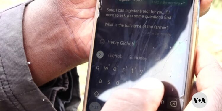 AI app helps Kenyan farmers optimize crop yields