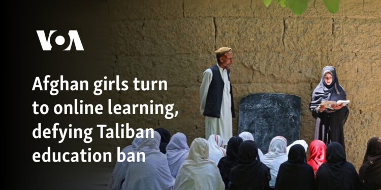 Afghan girls turn to online learning, defying Taliban education ban